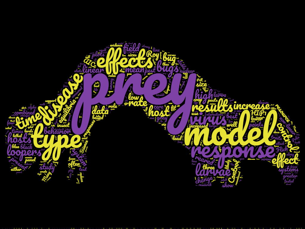 wordcloud3