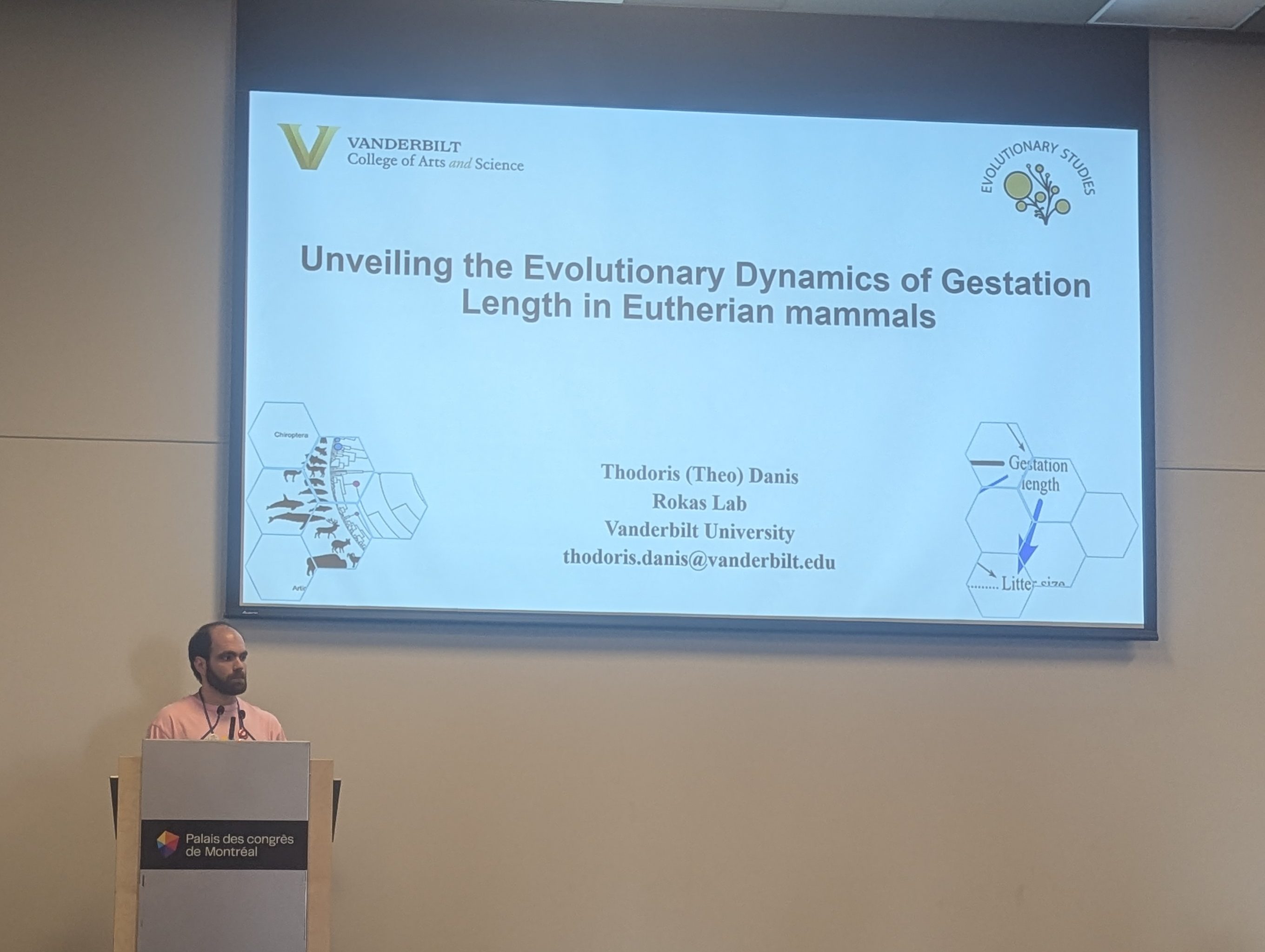 Theo behind a podium wearing a pink shirt. A screen behind him reads Unveiling the Evolutionary Dynamics of Gestation Length in Eutherian Mammals.